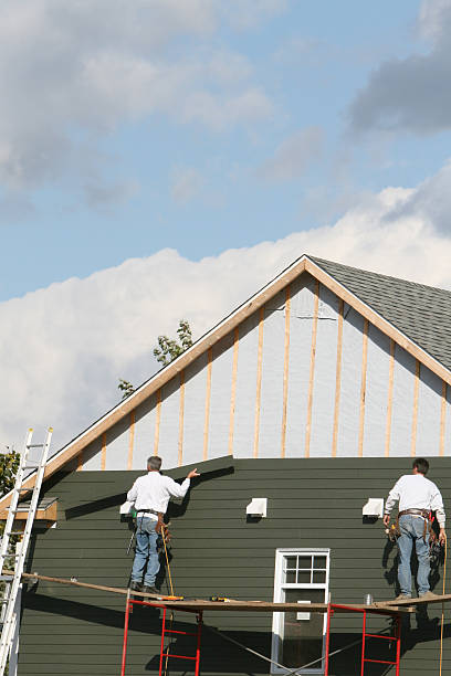 Best Vinyl Siding Installation  in Benson, NC